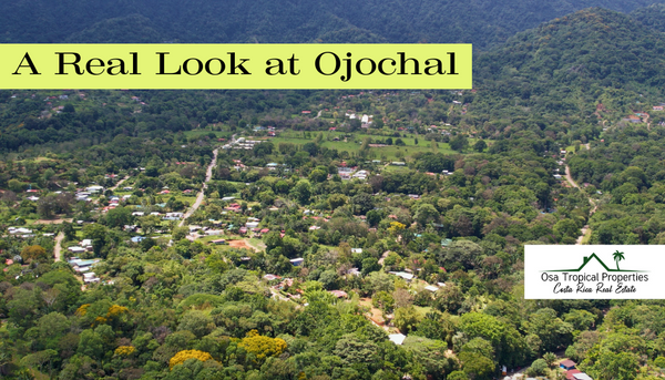 Why Moving to Ojochal Is a Smart and Responsible Choice — From Those Who Know It Best