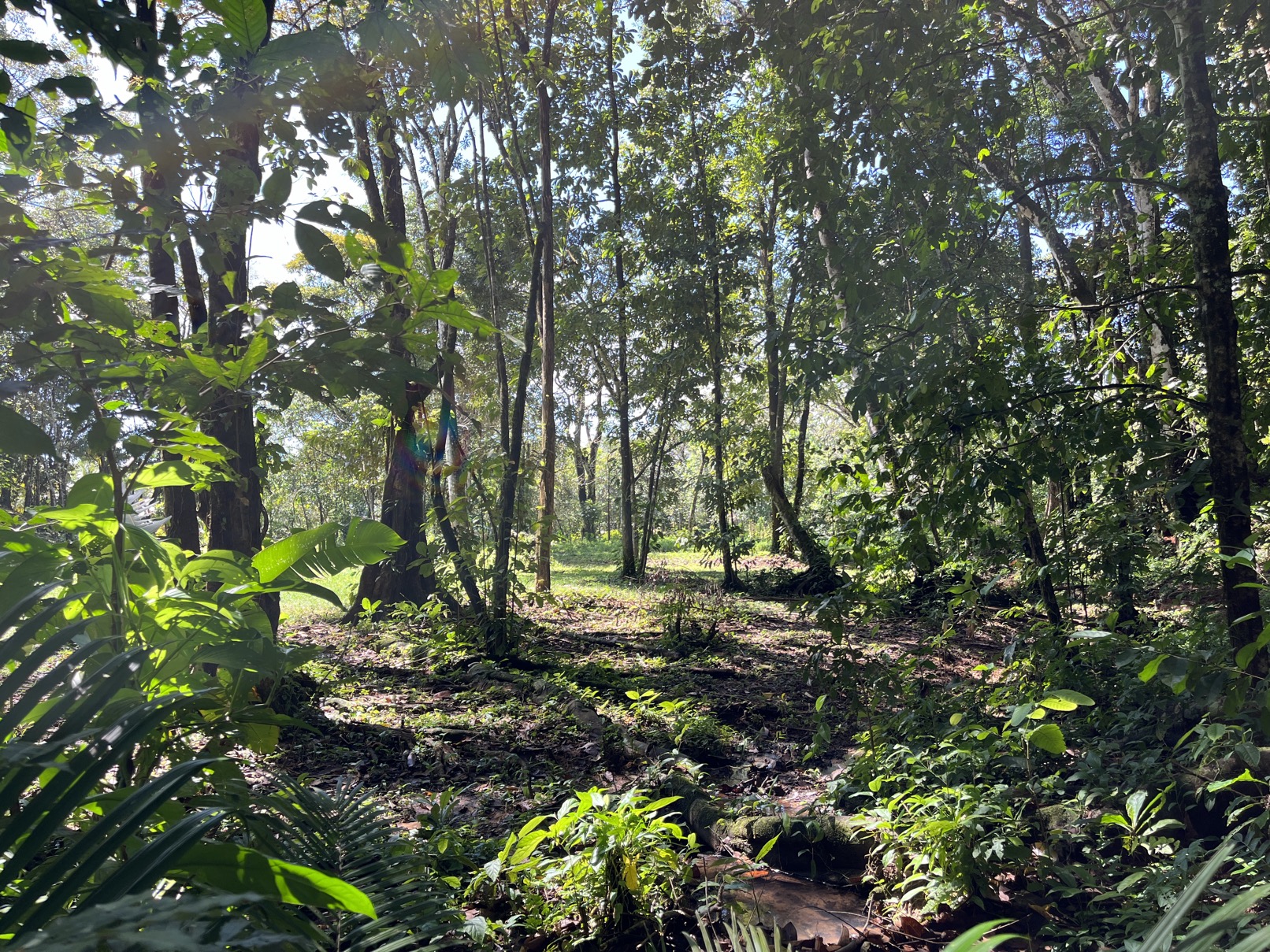 Flat Lot in Tortuga: Your Dream Project Awaits selected