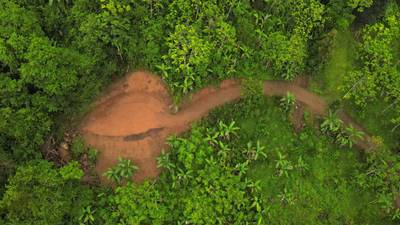 Mountain View Land with Several Building Sites and Mature Fruit Trees image 1