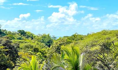 Charming 3 Bedroom Home with Lush Garden Acreage and Pocket Ocean View image 5