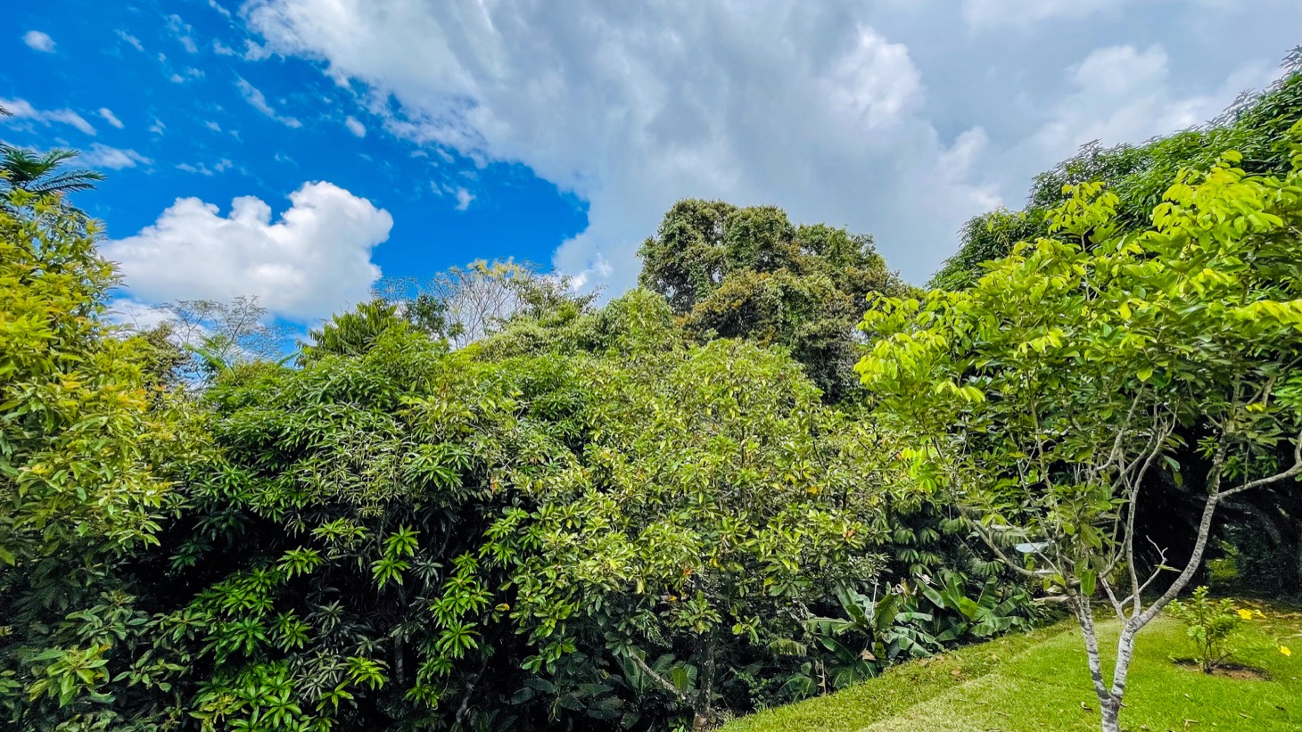 Ocean View Villa with Pool on acres in Costa Rica selected