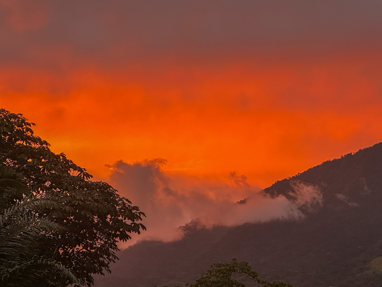 Modern Jungle Retreat with Infinity Pool and Panoramic Mountain Views in Ojochal selected