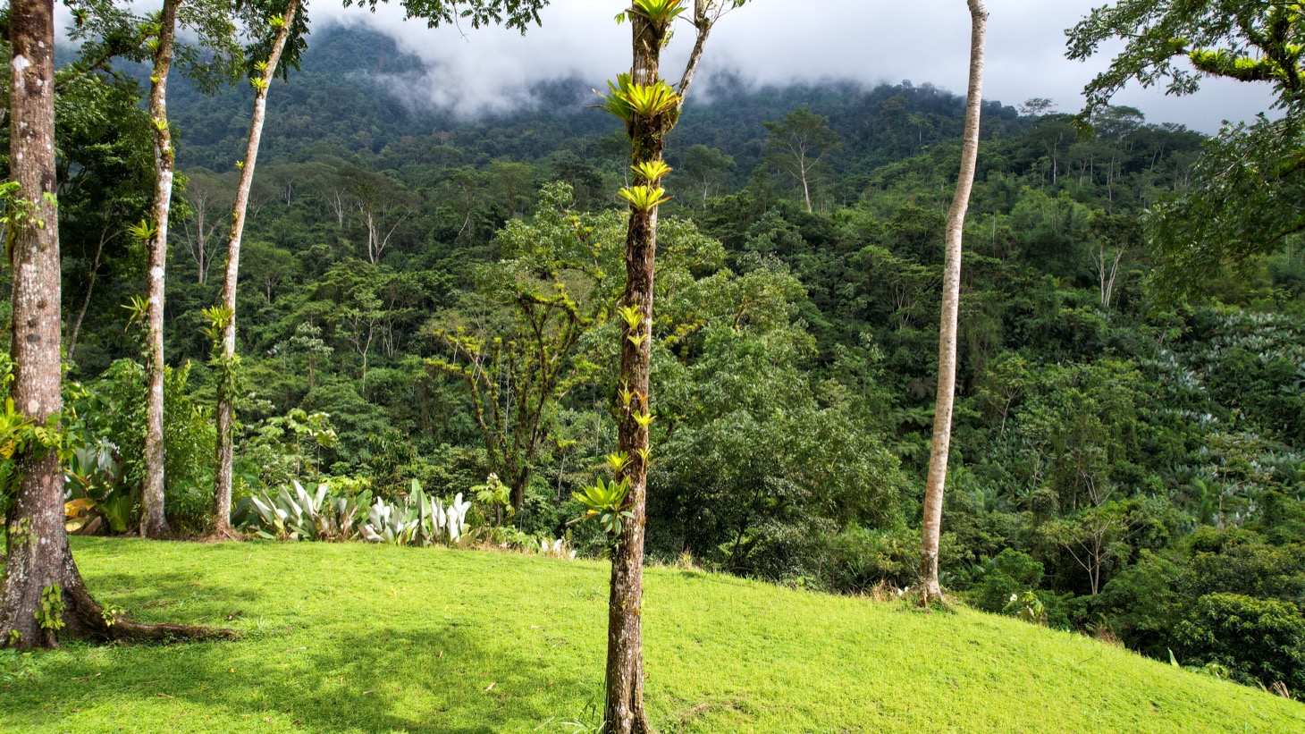 Secluded 4.5-Hectare Riverfront Oasis Near Hatillo & Dominical – Dos Bocas, Costa Rica selected