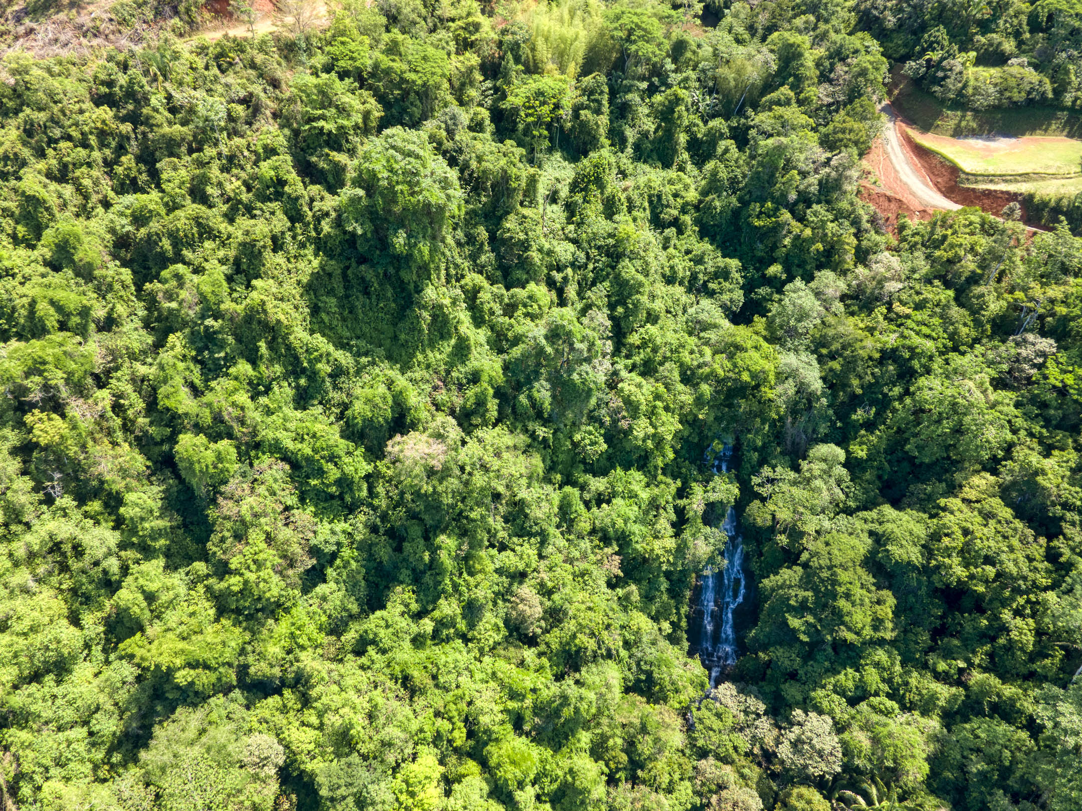 26 Acres With Ocean, Mountain & Waterfall View In Platanillo selected
