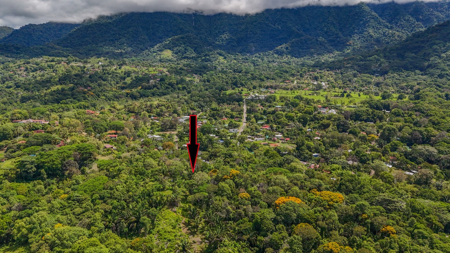 image-selected