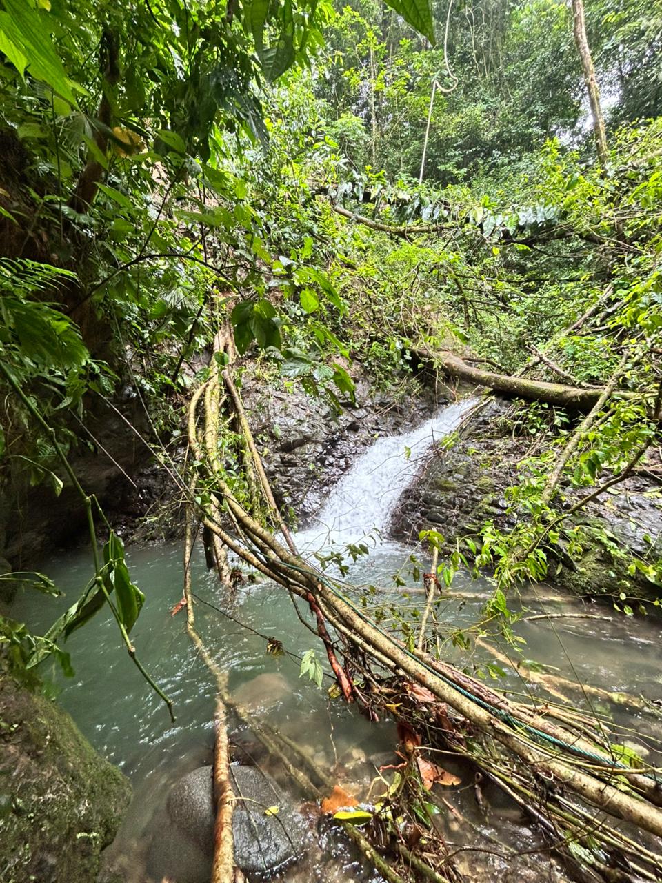 87 Acres of Natural Wonder and Endless Possibility in Ballena, Costa Rica selected