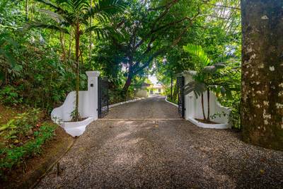Villa Allamanda — Solar-Powered Luxury Retreat with Ocean Views in the Mountains of Tres Ríos image 3