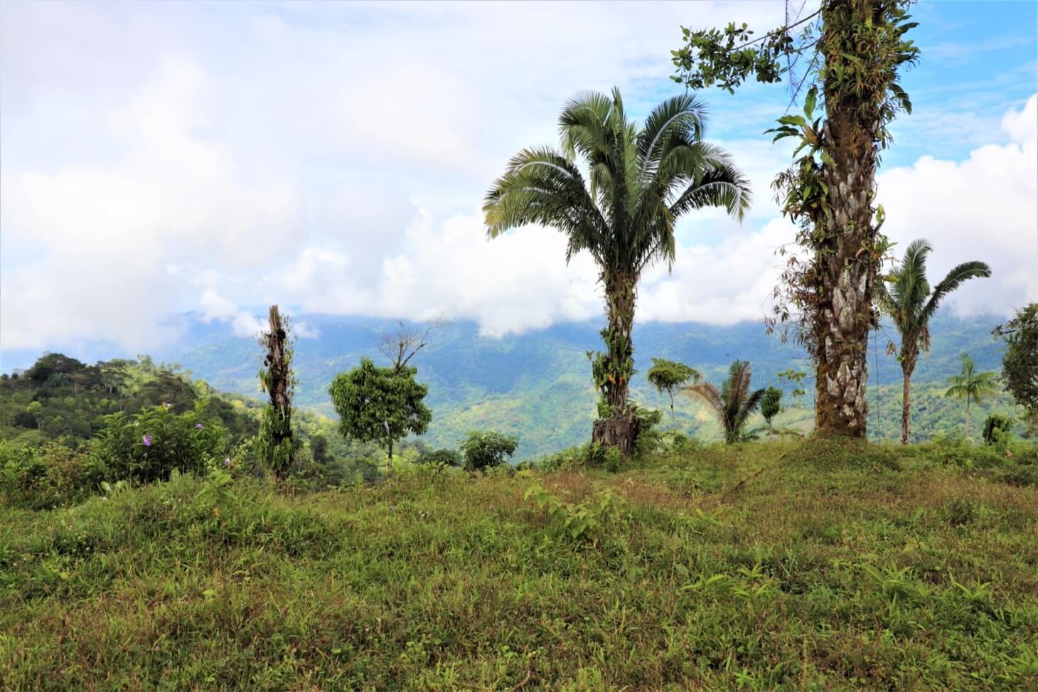 3 Spectacular Ocean View Farms in Uvita selected