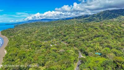 Bamboo Property for Sale Near Playa Ballena | Prime Costa Ballena Development Opportunity image 4