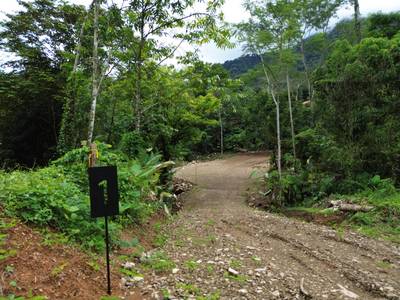 Exceptional Lot Offering Peace and Privacy in Ojochal image 2