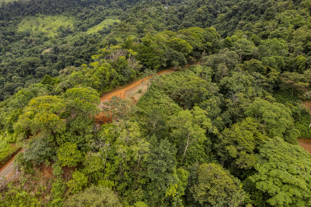 21.3-Acre Waterfall Farm Sanctuary in Costa Rica’s Southern Zone selected