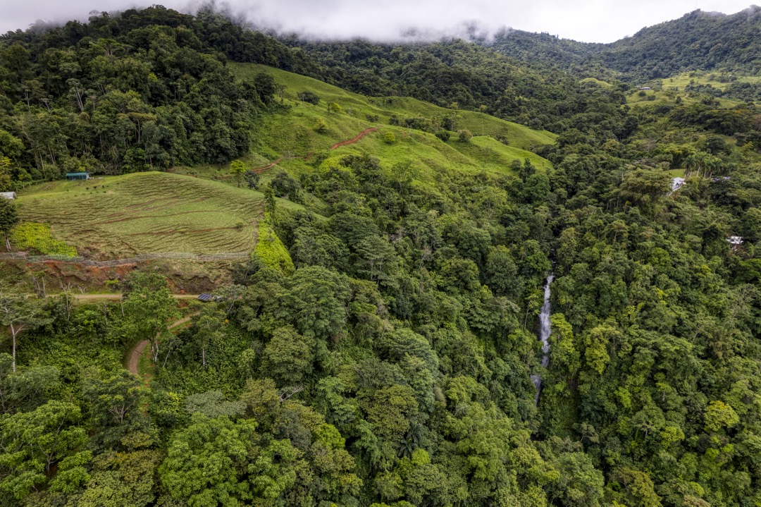 21.3-Acre Waterfall Farm Sanctuary in Costa Rica’s Southern Zone selected