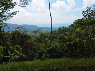 Build-Ready Ocean View Homesite Above Uvita – Iconic Ballena Rock Views & Prime Hillside Setting image 3