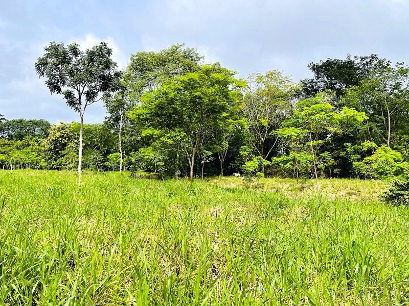 Prime 10+ Acre Development Opportunity in Uvita selected