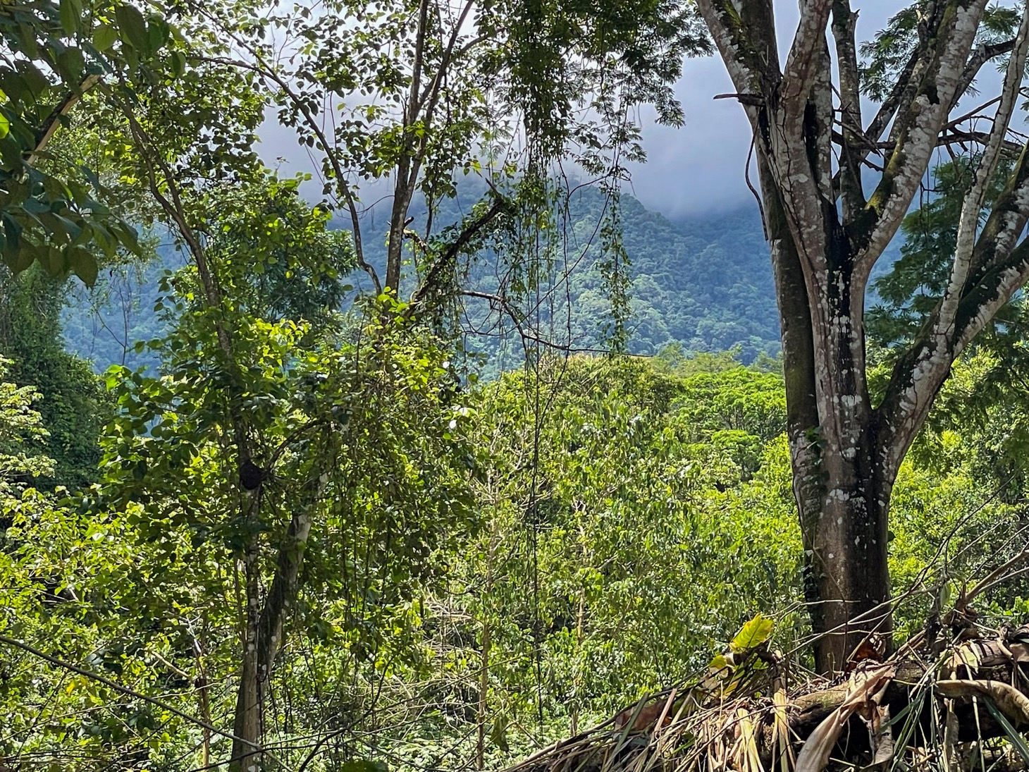 Your Private Mountain Sanctuary Awaits selected