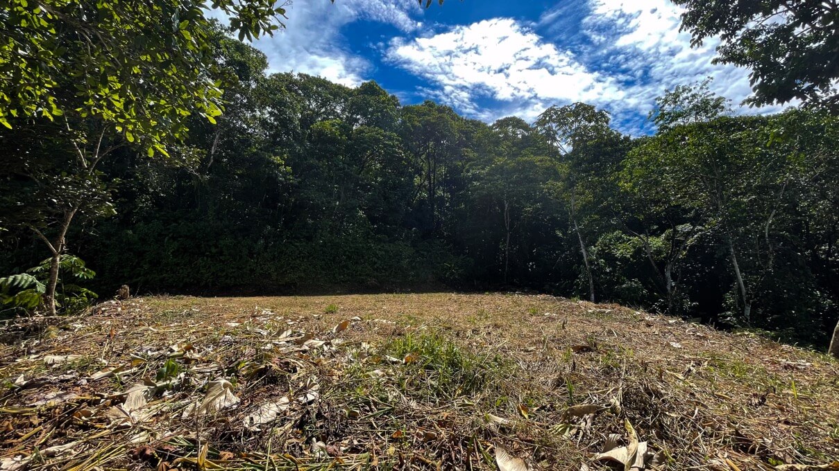 Whale's Tail and Ocean View lot for Sale in Costa Verde, Escaleras, Costa Rica selected