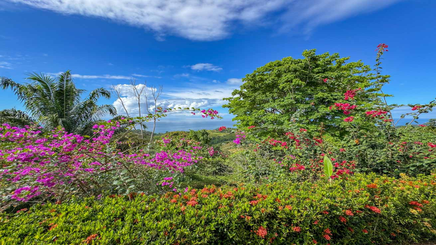 Ocean,Jungle & Mountain View Home in Ojochal | Protected Jungle Setting selected