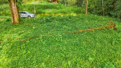 Private Jungle-Border Lot in Ojochal – Ready to Build, Gated Community, River Access image 5