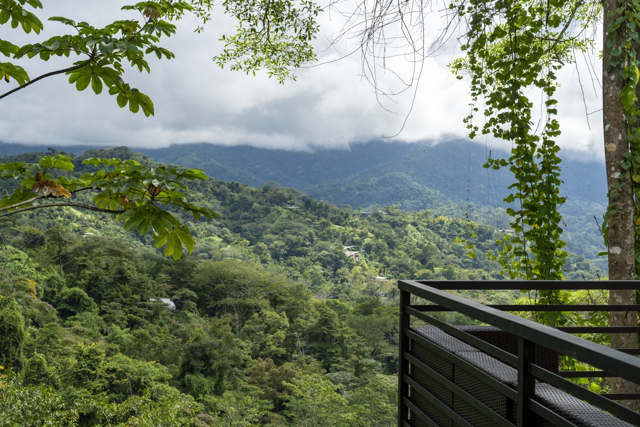 Turnkey Jungle-to-Ocean Investment with Proven Vacation Rental Performance selected