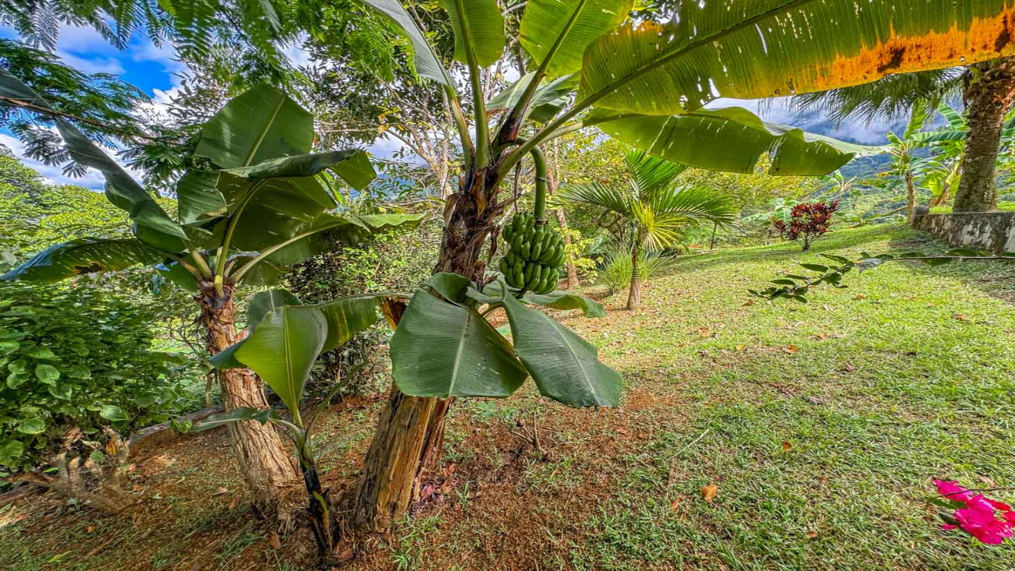Ocean,Jungle & Mountain View Home in Ojochal | Protected Jungle Setting selected