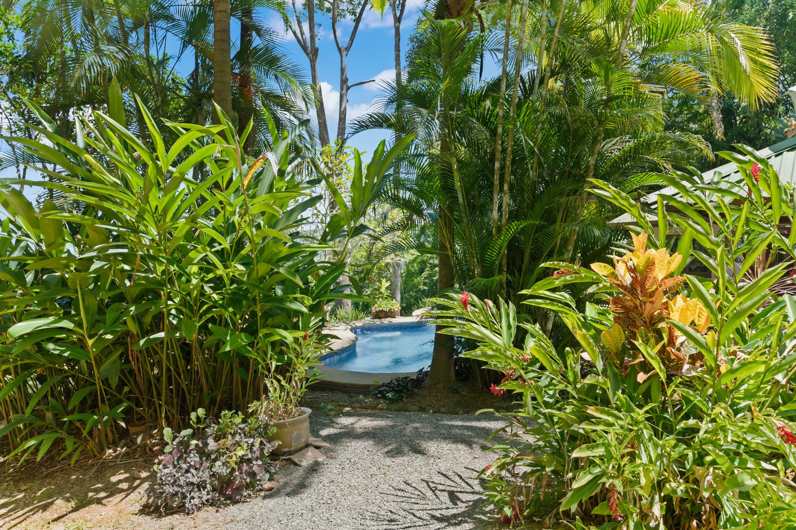 Charming Ocean View Home with Expansion Potential in Lagunas selected