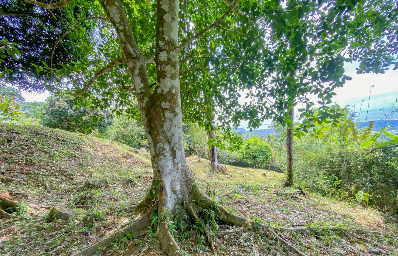 Large Uvita Lot with Whale’s Tail Ocean Views, Sunsets & Legal Water – Ready to Build selected