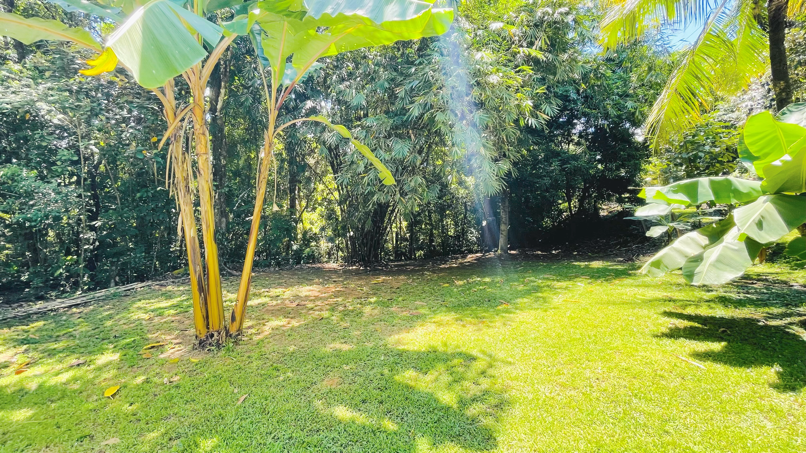 Private Jungle Compound with Modular Home, Guest Cabin & 3 Building Sites in Ojochal, Costa Rica selected