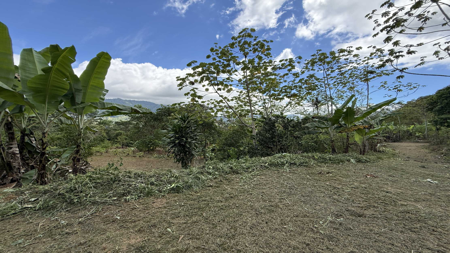 Jungle Lot with 3+ Building Sites, Legal Water, Electricity on Public Road with Big Valley & Mountain Views near San Josecito Costa Rica selected