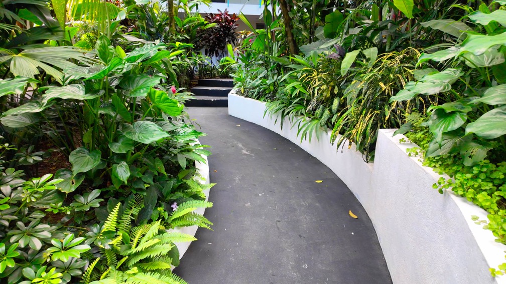 Turnkey Boutique Hotel in Prime Manuel Antonio Beach Location selected