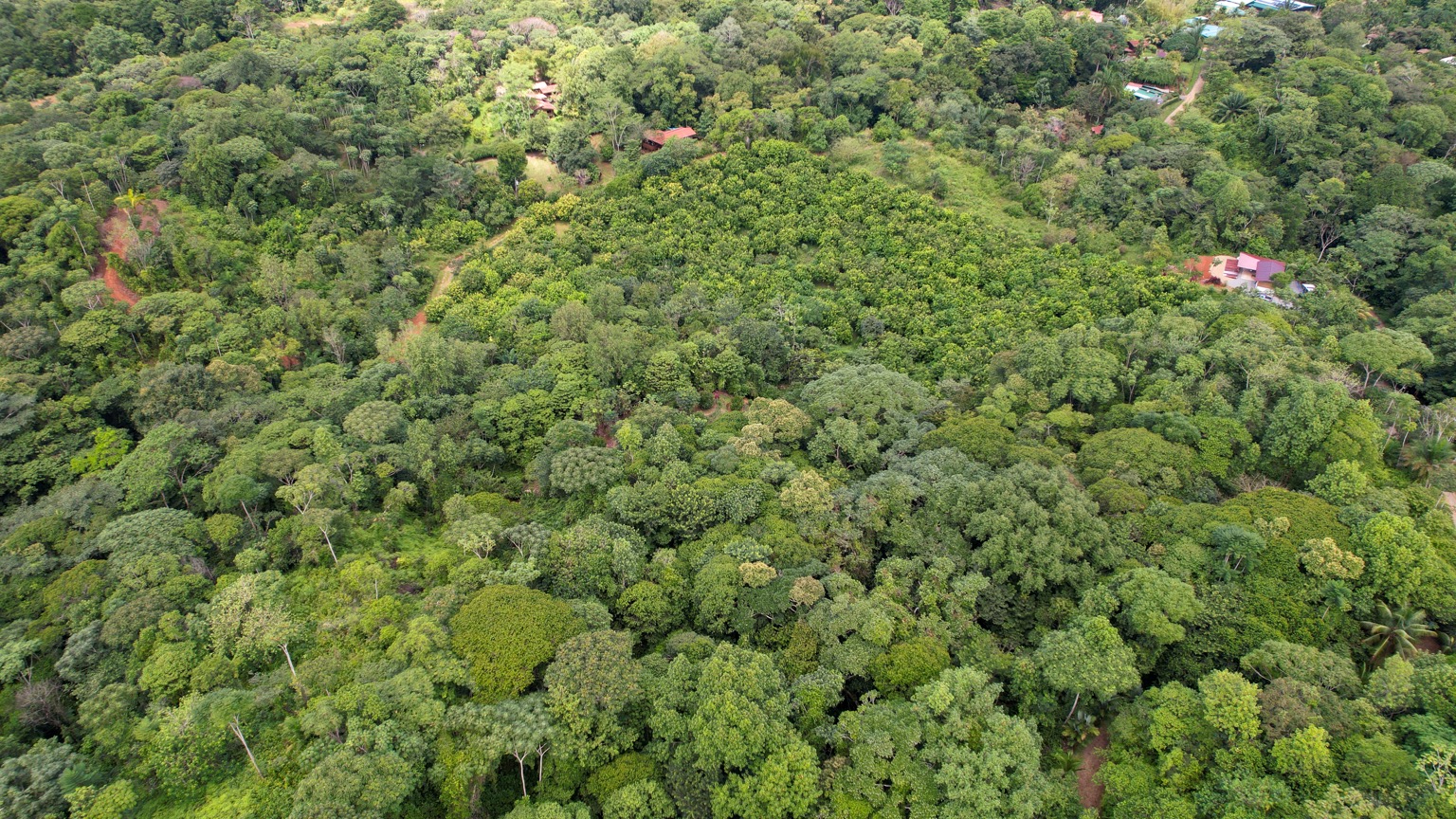 Premium 9.3-Hectare Farm for Sale in Ojochal, Costa Rica selected