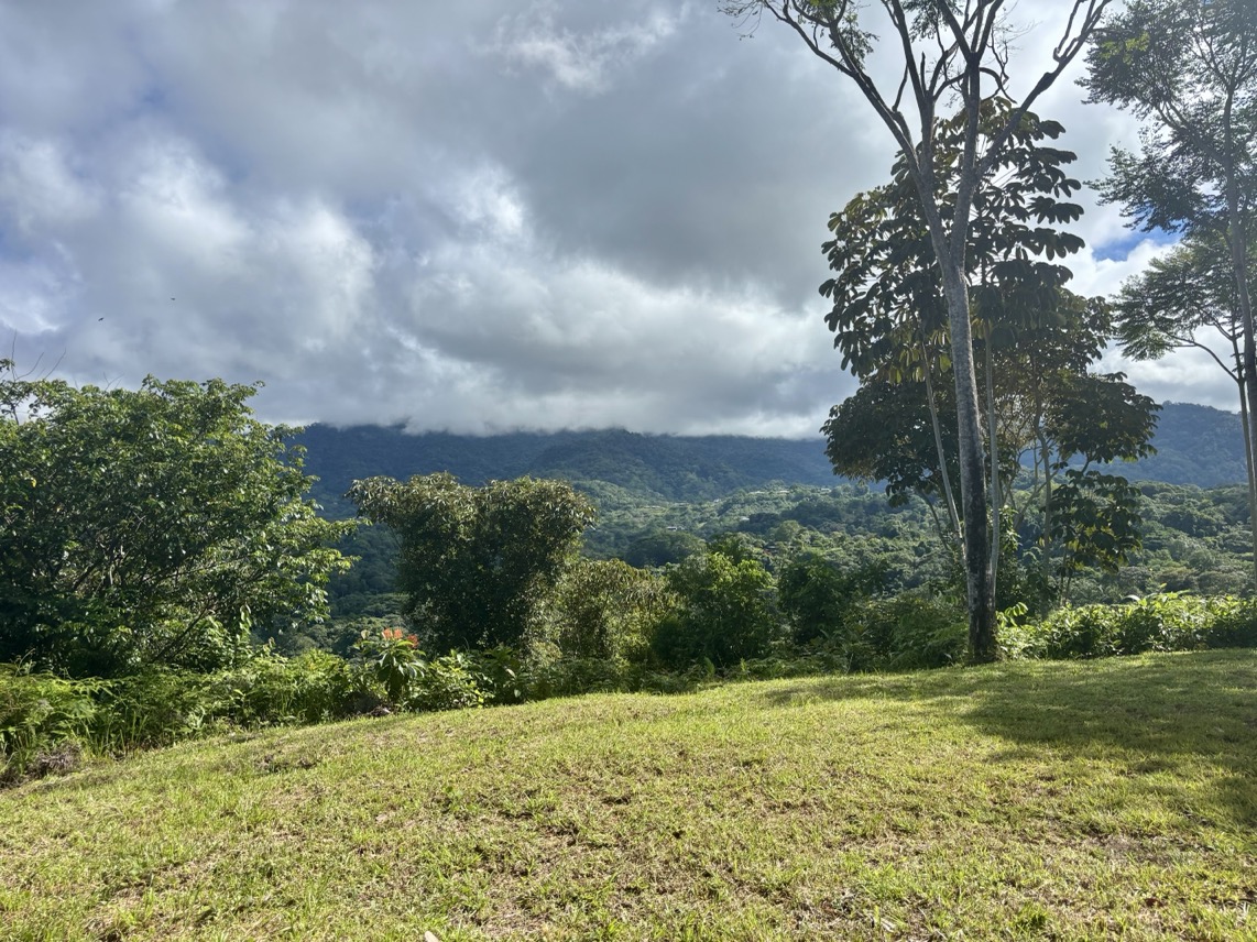 Two Ocean View Properties in Ojochal – 5.33 Acres of Pure Paradise selected