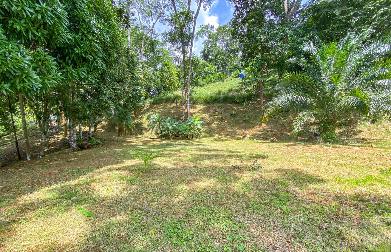 Large Uvita Lot with Whale’s Tail Ocean Views, Sunsets & Legal Water – Ready to Build selected