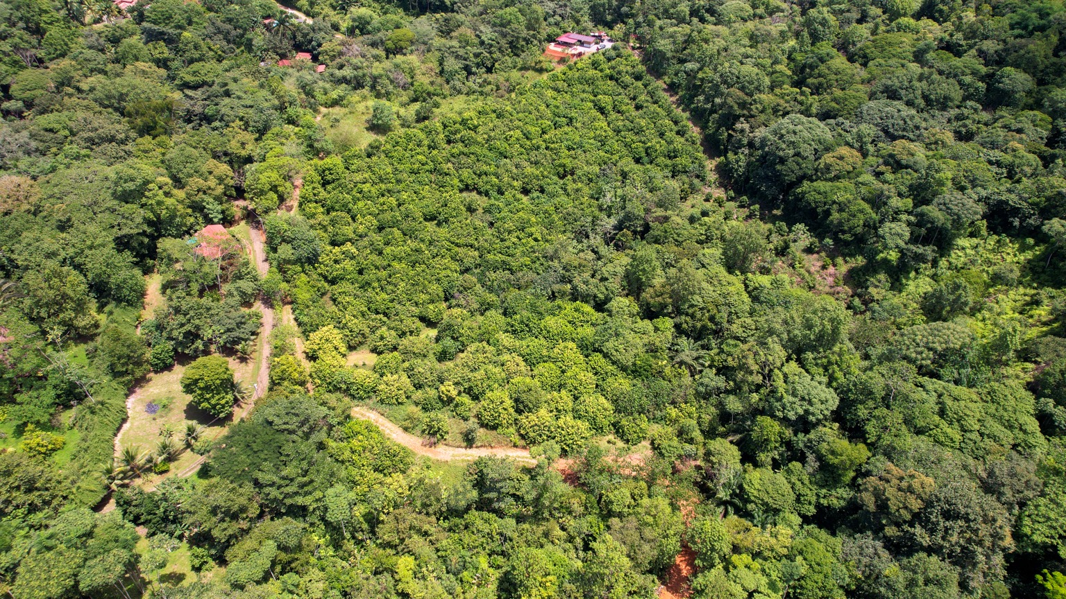 Premium 9.3-Hectare Farm for Sale in Ojochal, Costa Rica selected