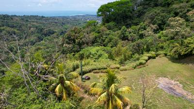 Ocean View Land for Sale in Uvita, Costa Rica | Whale Tail View | Private Gated Community | Ready to Build image 3