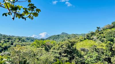 Exceptional Large Multi-Building Site Lot in Tres Ríos image 4