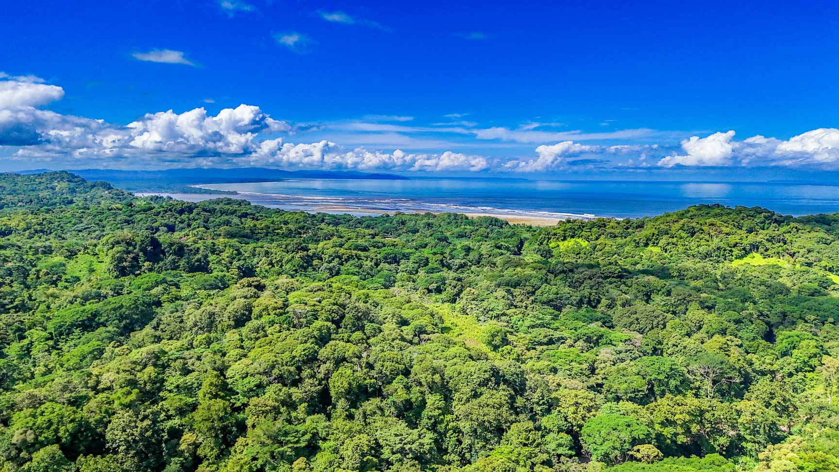 Wonderful Jungle Lot with a Crystal Mountain River Border in Ojochal selected