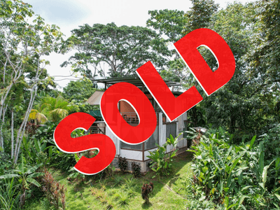 14 Acres of Rainforest Land for Sale in Costa Rica Near Puerto Jiménez– Rare Value Opportunity image 1