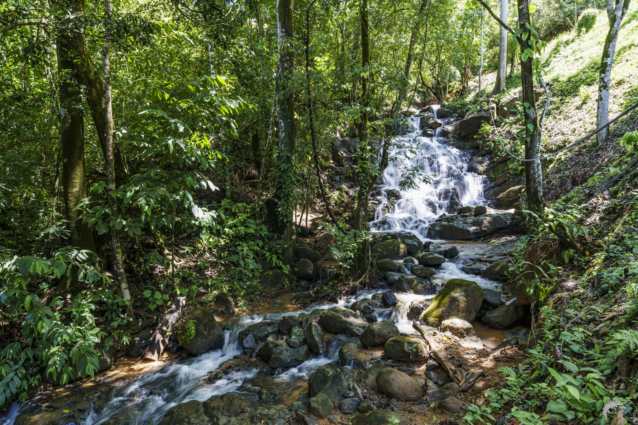 26 Acres With Ocean, Mountain & Waterfall View In Platanillo selected