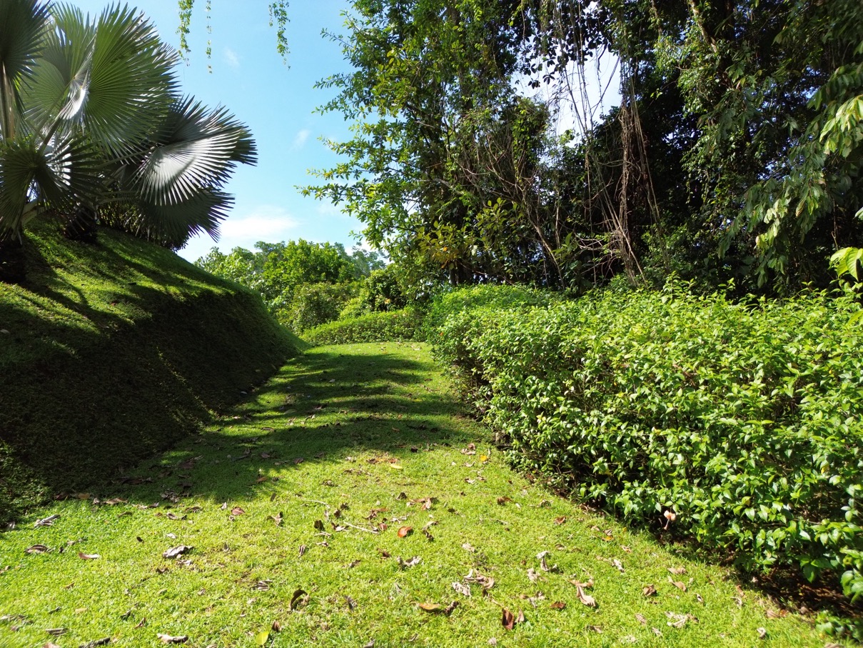 Spectacular Ocean View Lot in Ojochal (Calle Tucan) selected