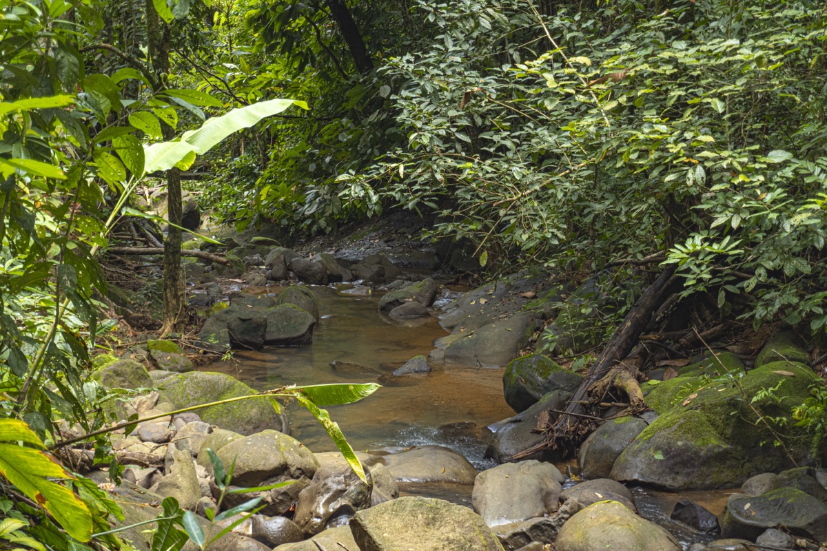 Serene Costa Rican Jungle Retreat with Waterfalls & Wildlife selected