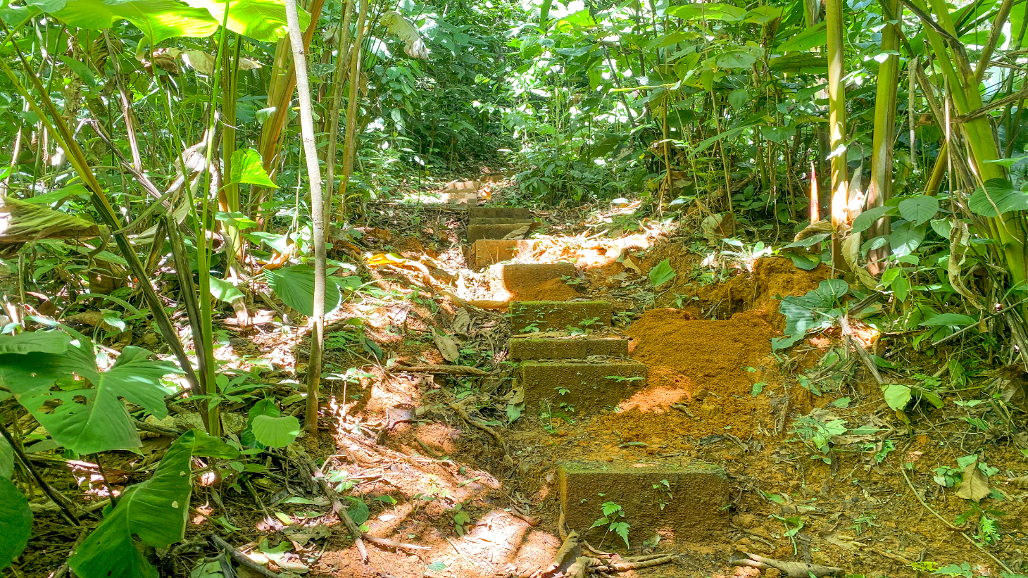 3 Bedroom Rainforest Home in Ojochal With River & Waterfall | 3.5 Acres Private selected