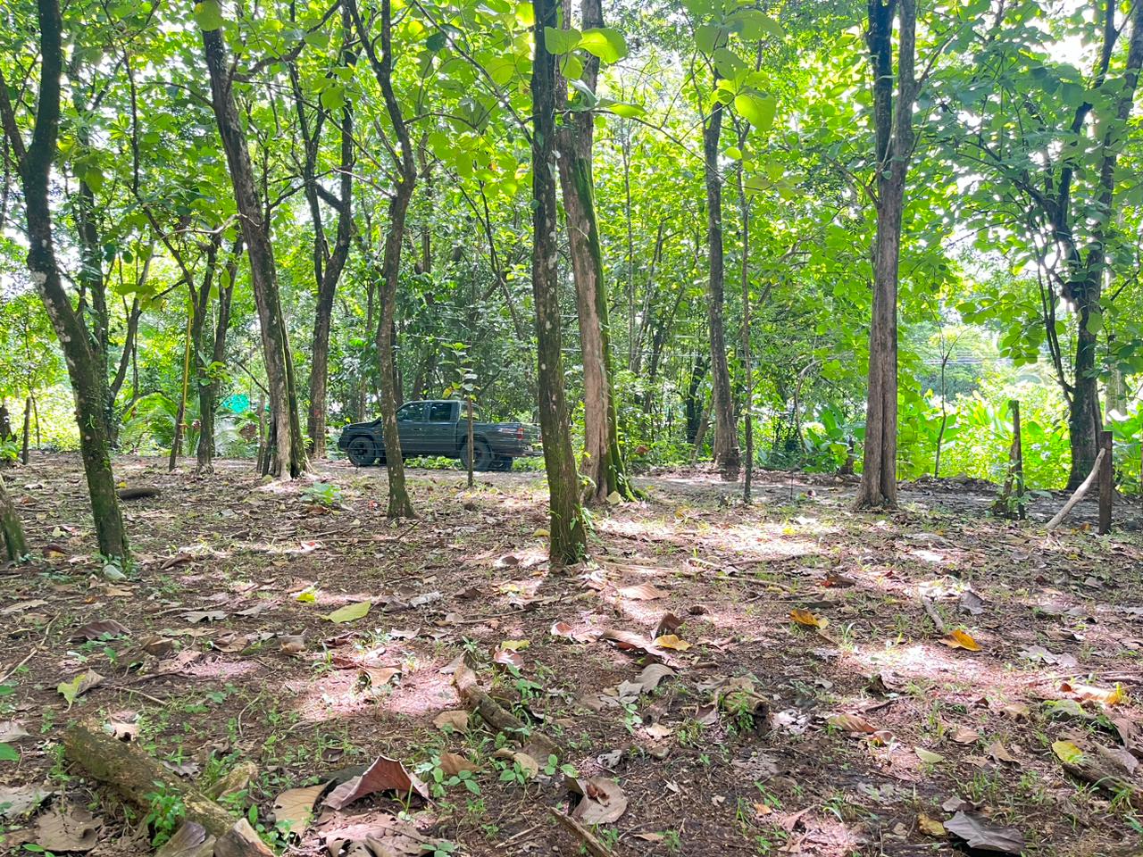 Prime 0.37-Acre Build-Ready Lot Steps from Marino Ballena National Park in Uvita selected