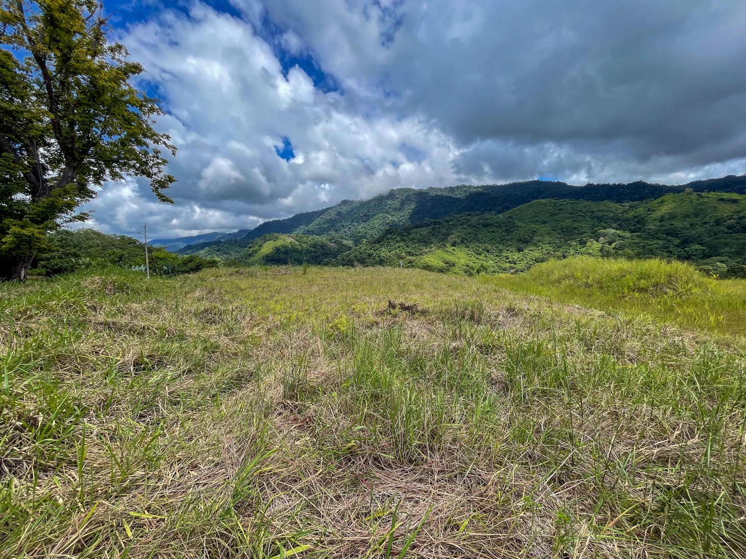 Stunning Lot for Sale in Southern Costa Rica – A Rare Opportunity! selected