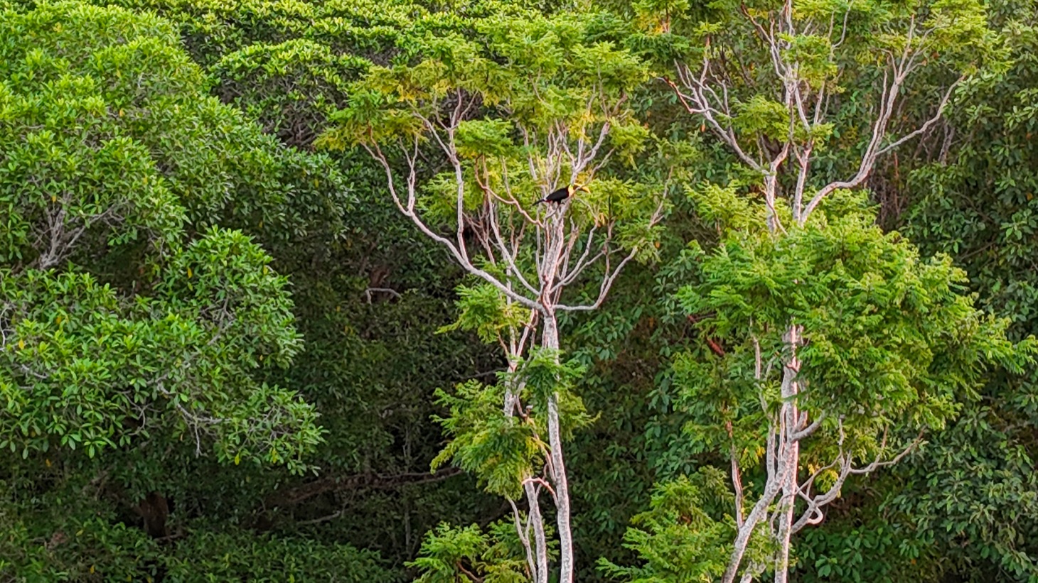 Private Modern Tropical Paradise Home For Sale in Ojochal, Costa Rica selected