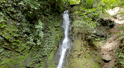 Oceanview Oasis House: Private Waterfall, Infinity Pool & Jungle Trails in Gated Costa Rica Community image 5