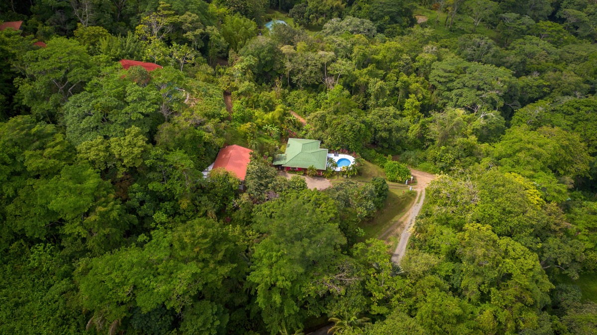 Dual-Income Opportunity Surrounded by Jungle Paradise in Escaleras selected