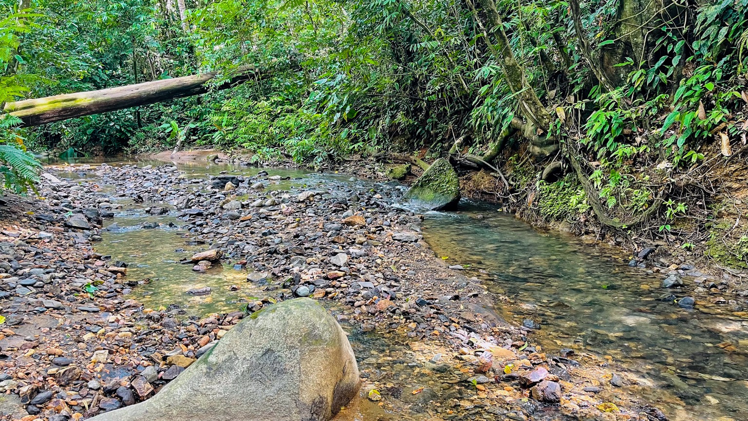 Premium 9.3-Hectare Farm for Sale in Ojochal, Costa Rica selected