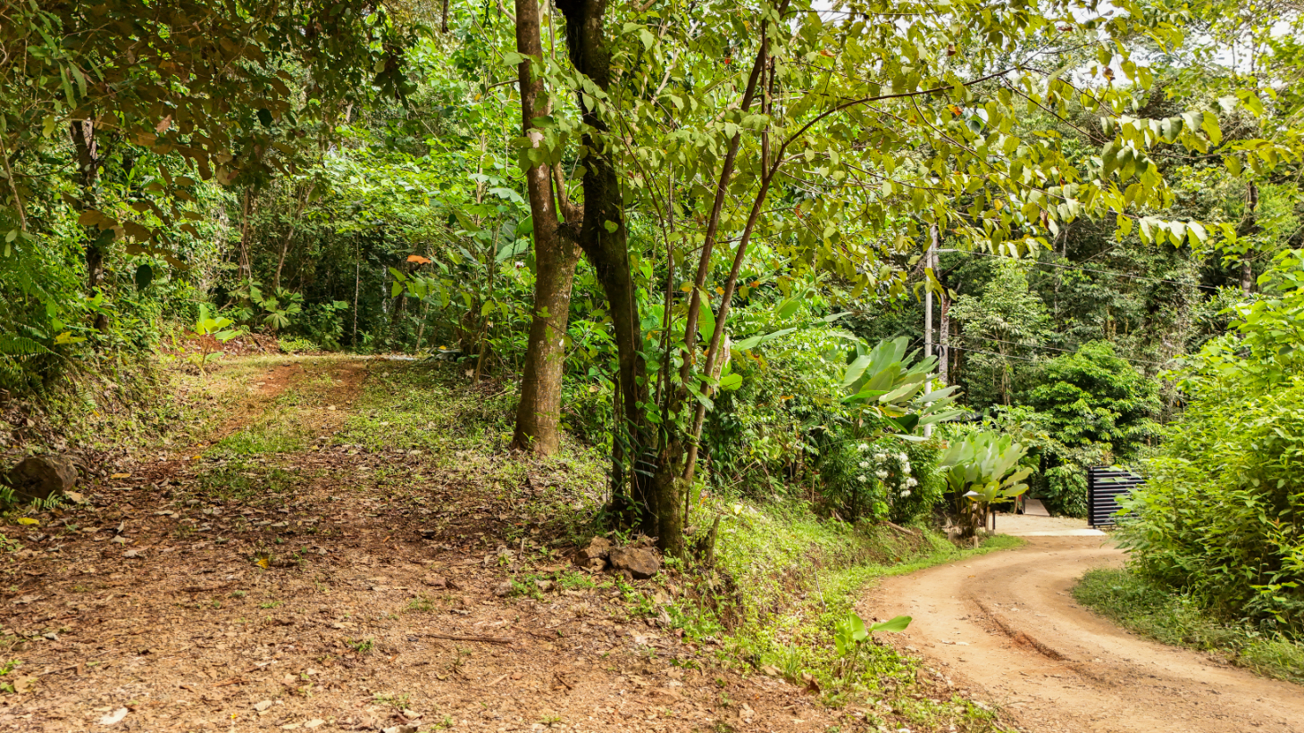 Turn-Key Luxury Boutique Jungle Bungalows + Build-Ready Expansion site – Profitable Airbnb in Ojochal selected