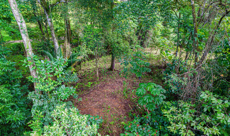 Exceptional Residential or Commercial Potential Property in Ojochal selected