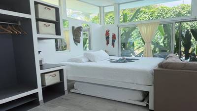 Costa Rica Duplex Starter Kit for Sale in Ojochal image 5